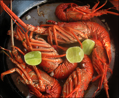 lobster
