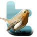 twitter logo with Robin